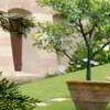 Weddings in Torri del Benaco