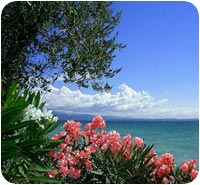 event planners in Torri del Benaco, lake Garda